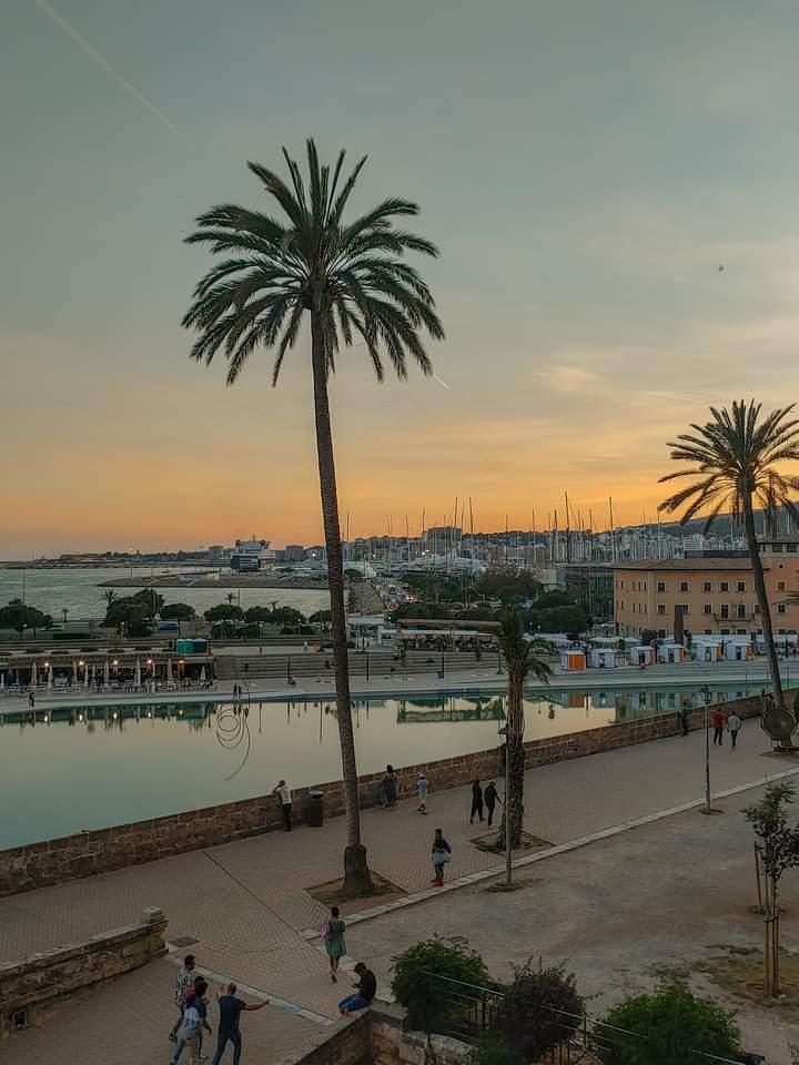Guide complet pour une escapade de 4 jours à Mallorca, les îles Baléares Tunisie