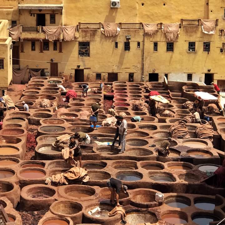 Découverte du Maroc : Casa et Fès, une Expérience Enrichissante Tunisie