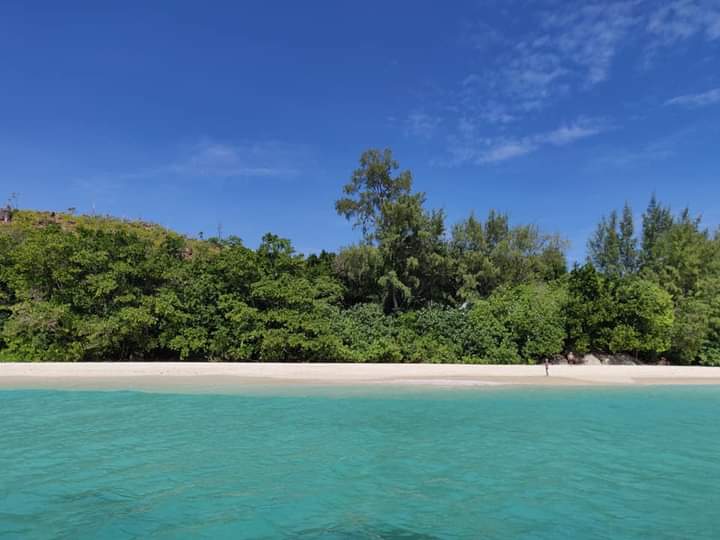 Découvrez les Seychelles, une destination de rêve accessible à tous ! Tunisie
