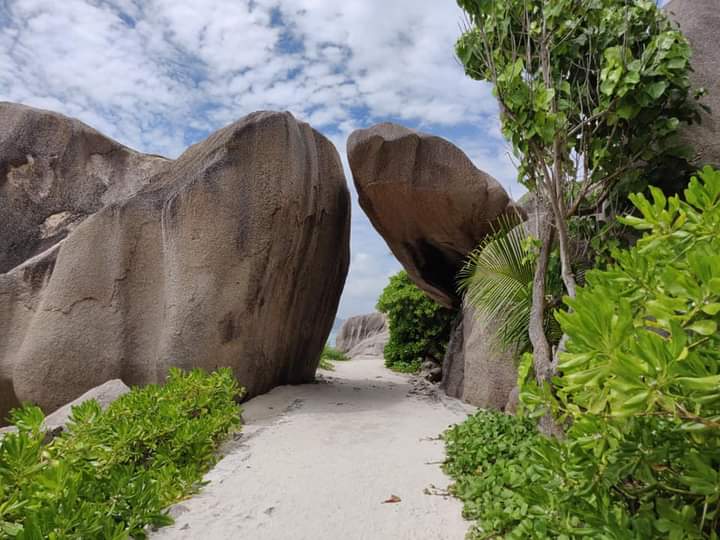 Découvrez les Seychelles, une destination de rêve accessible à tous ! Tunisie