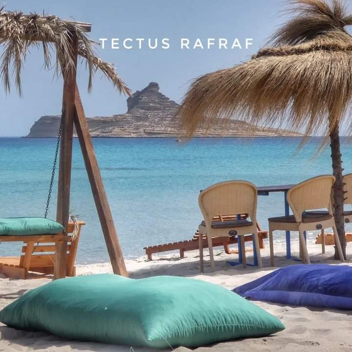 Tectus Rafraf : test et avis Tunisie
