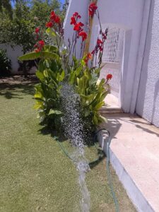 Améliorez votre jardin avec les services de Lotfi Delaii dans la banlieue nord de Tunis Tunisie