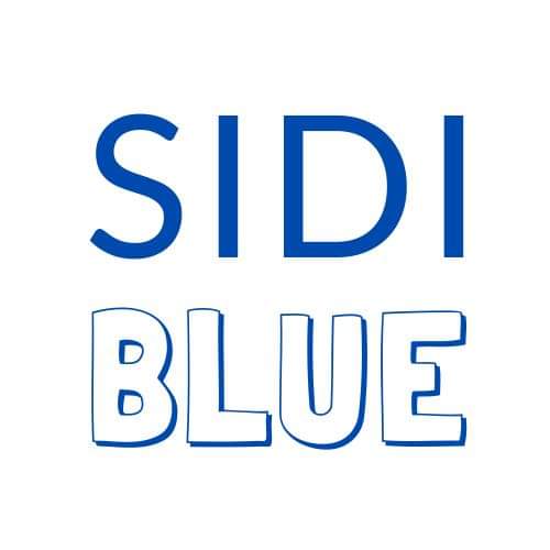 Sidi Blue : Le concept store Marais qui célèbre le savoir-faire tunisien Tunisie