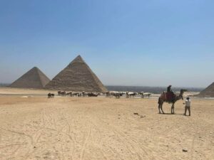 Découvrez mon voyage palpitant au Caire,Une semaine riche en découvertes et conseils pratiques ! Tunisie