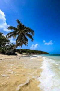 Découvrez Porto Rico : L'Île Enchantée des Caraïbes Tunisie
