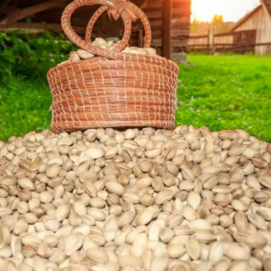 Panier Sac en paille Tunisie