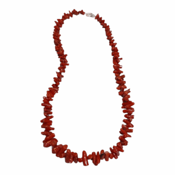 Corail naturel Tunisie