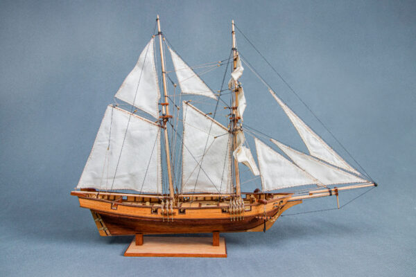 Maquette du navire Albatros du 19ème siècle Tunisie