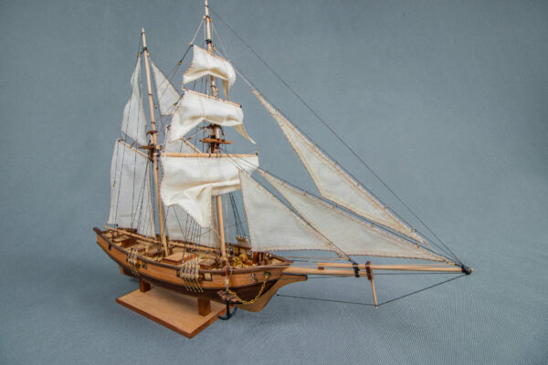 Maquette du navire Albatros du 19ème siècle Tunisie