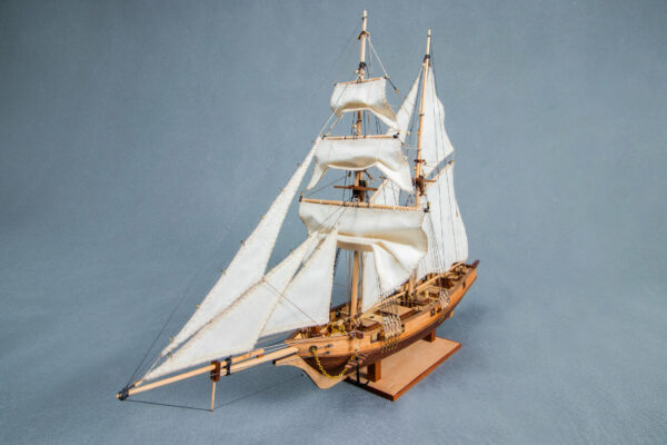 Maquette du navire Albatros du 19ème siècle Tunisie