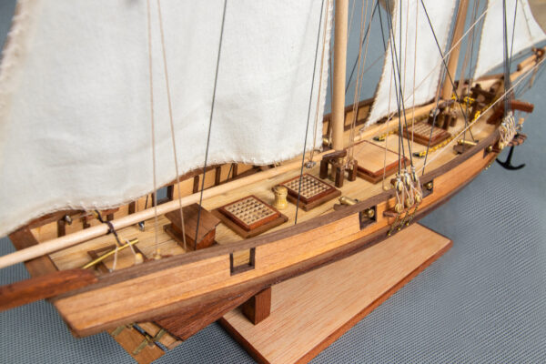 Maquette du navire Albatros du 19ème siècle Tunisie