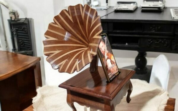 Amplificateur naturel en bois fait main Tunisie