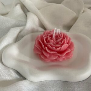 Pack pivoine parfumé + plat en plâtre Tunisie