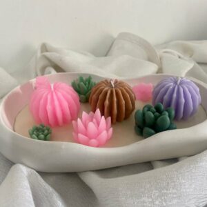 Bougie cactus soya Wax grand model Tunisie